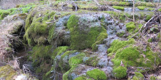 Sources Petrifiantes Zone Natura 2000 Barjac