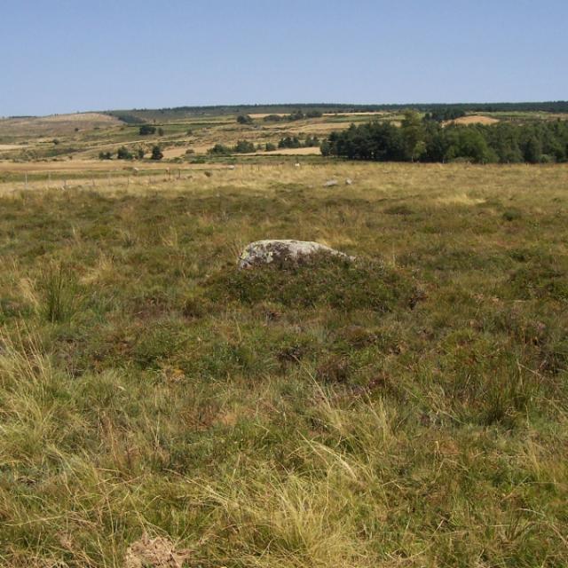 Tourbieres Acides Zone Natura 2000 Barjac