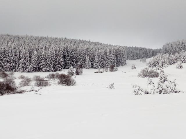 Lac Charpal Neige 1 21(1)©a.manceau