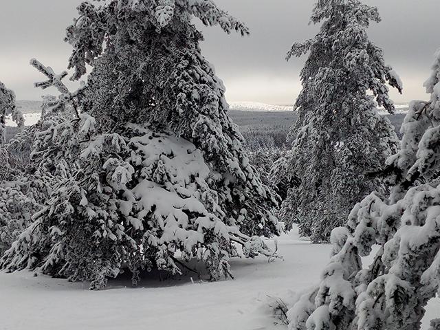 Lac Charpal Neige 1 21(3)©a.manceau