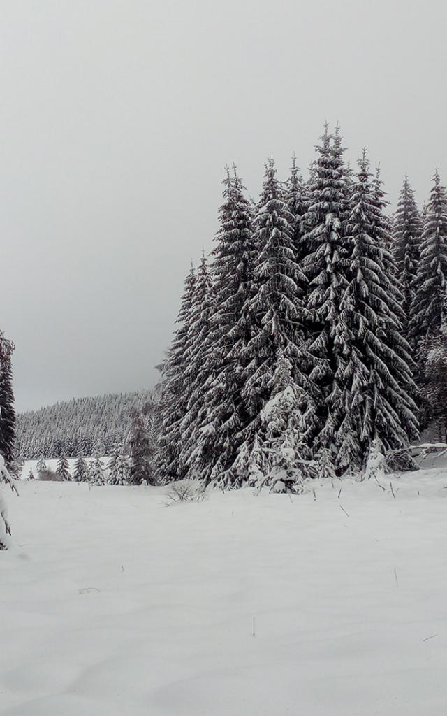 Lac Charpal Neige 1 21(6)©a.manceau