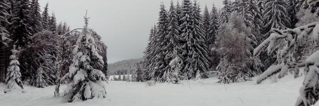 Lac Charpal Neige 1 21(6)©a.manceau