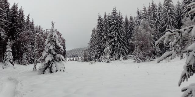 Lac Charpal Neige 1 21(6)©a.manceau