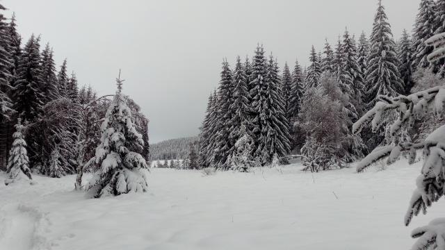 Lac Charpal Neige 1 21(6)©a.manceau