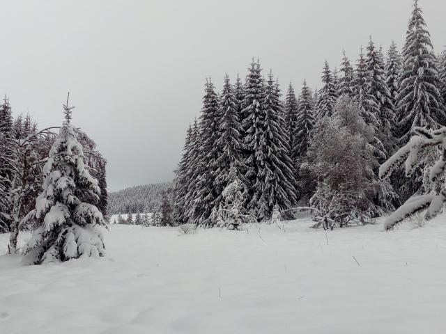 Lac Charpal Neige 1 21(6)©a.manceau