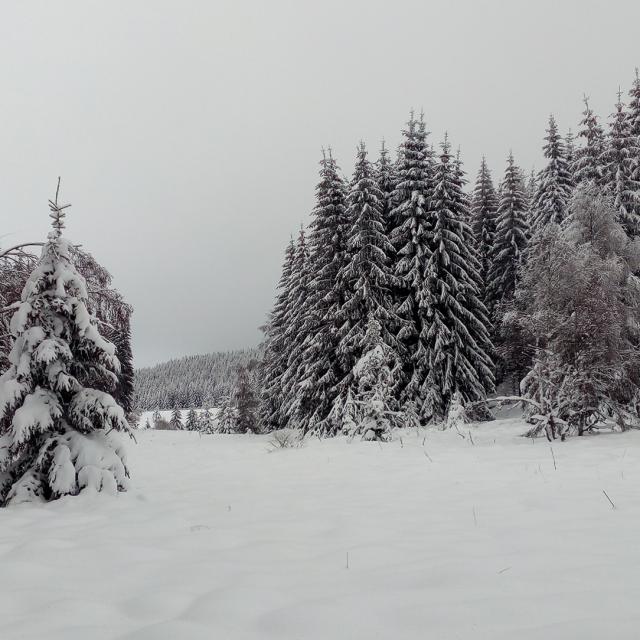 Lac Charpal Neige 1 21(6)©a.manceau