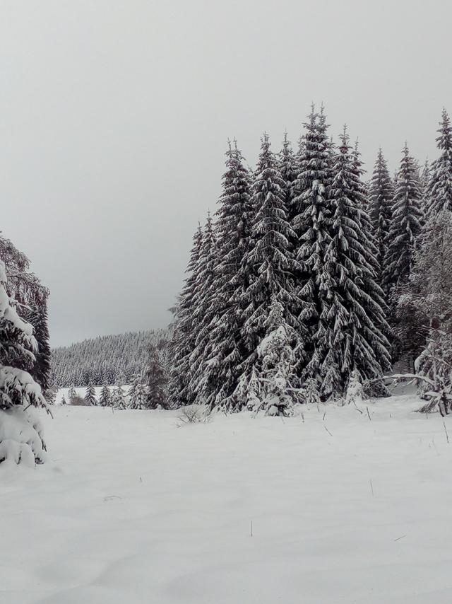 Lac Charpal Neige 1 21(6)©a.manceau