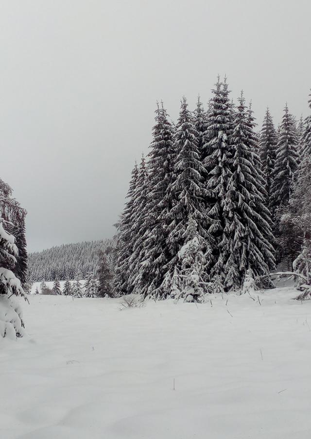 Lac Charpal Neige 1 21(6)©a.manceau