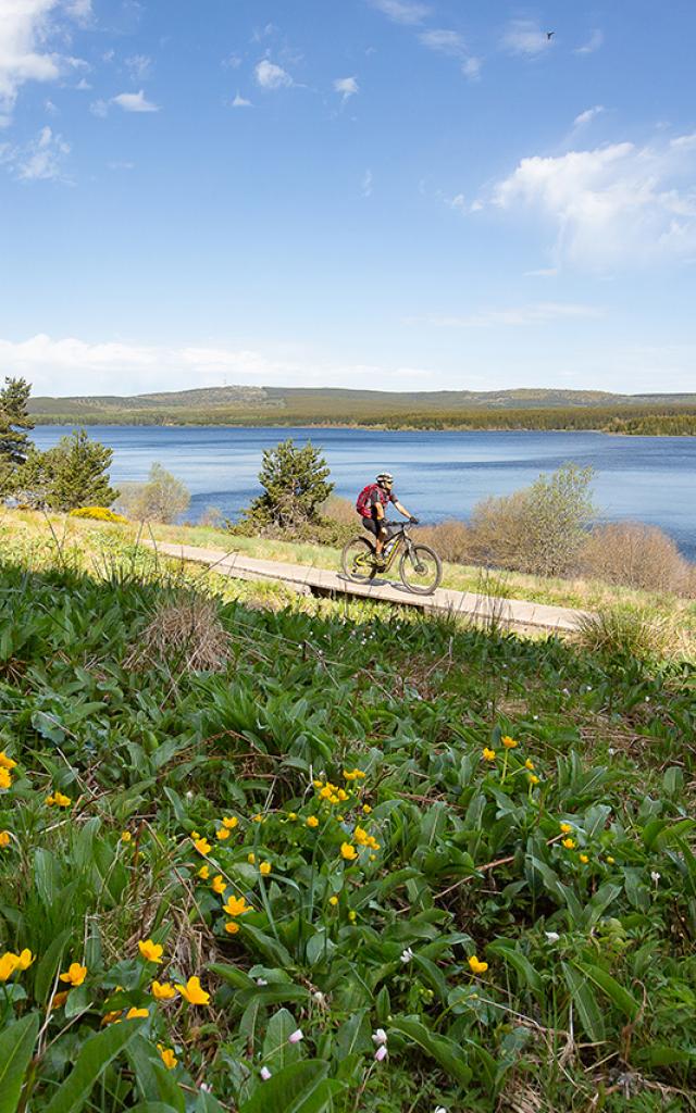 Mountainbike Charpal©lozere Sauvage