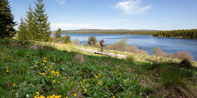 Vtt Charpal©lozere Sauvage