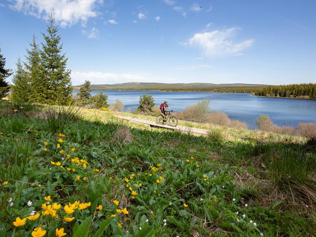 Vtt Charpal©lozere Sauvage