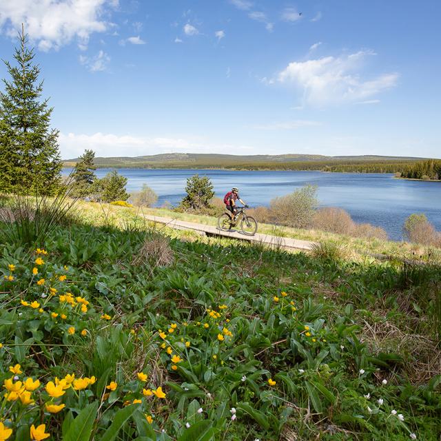 Vtt Charpal©lozere Sauvage