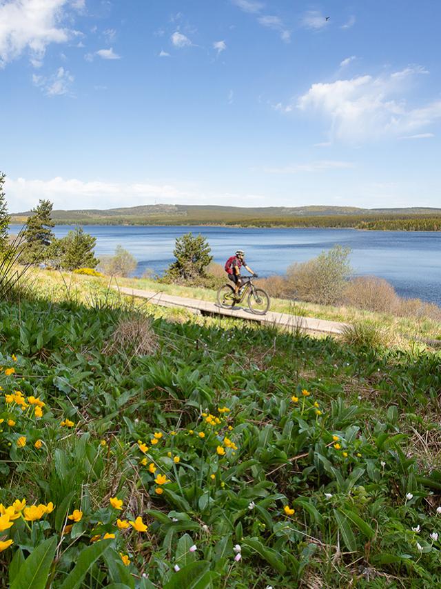 Vtt Charpal©lozere Sauvage