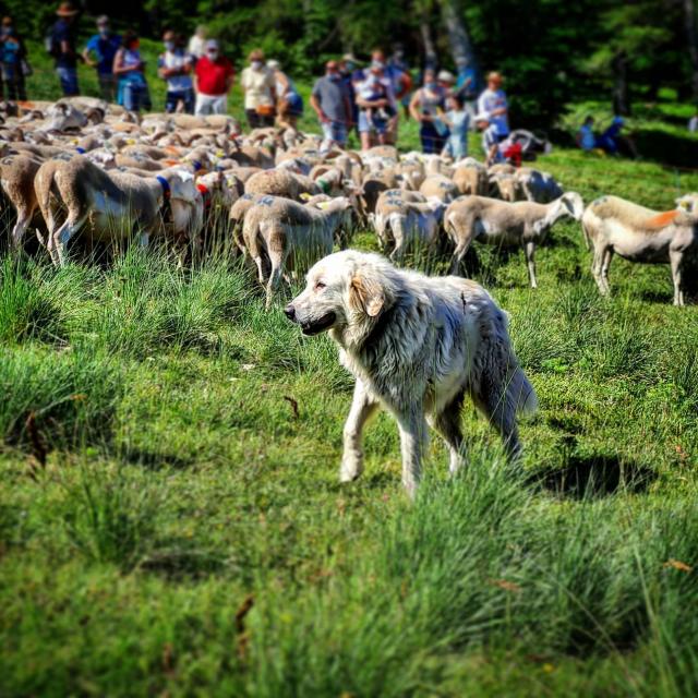 Instagram #cevennes