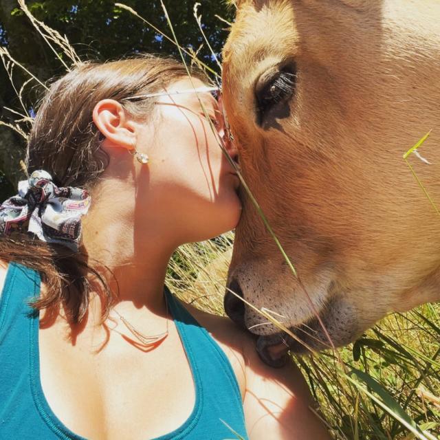 Instagram #aubrac