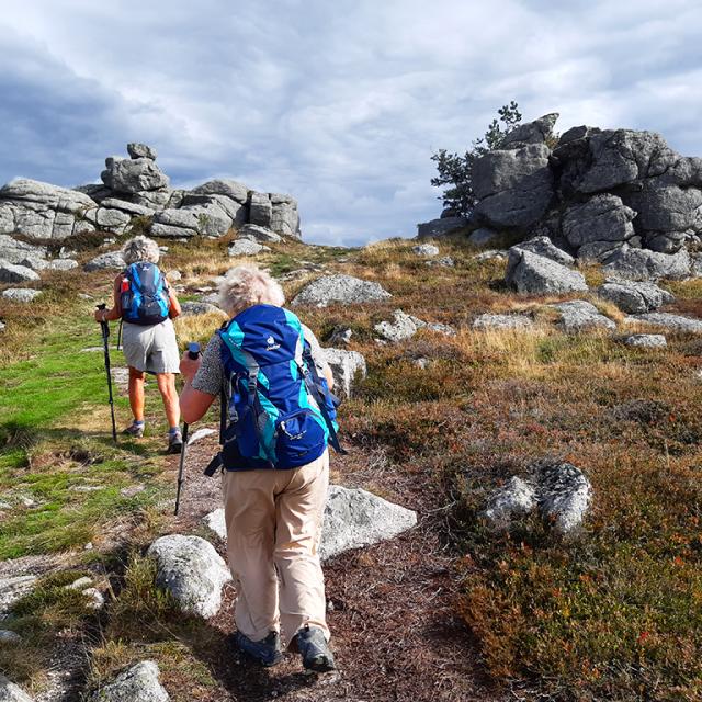 Randonnée à pied en Lozère