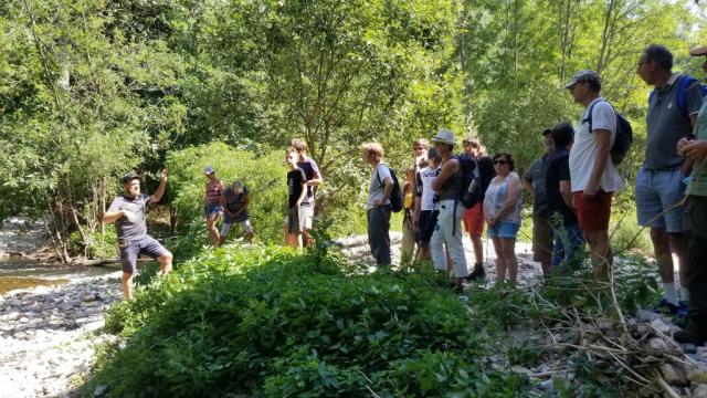 Sorties naturalistes avec l'Alepe