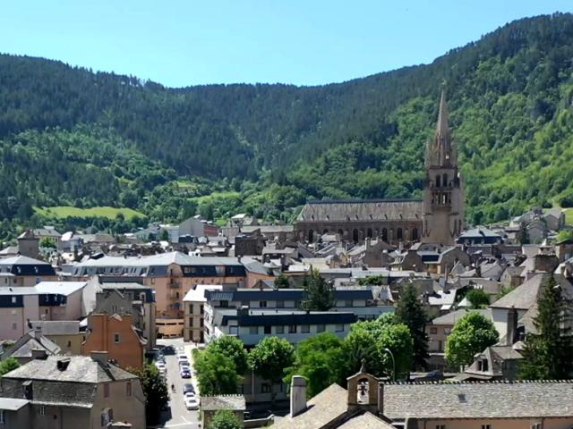 Panorama de Mende pour le Congres des Plus Beaux Détours de France 2024