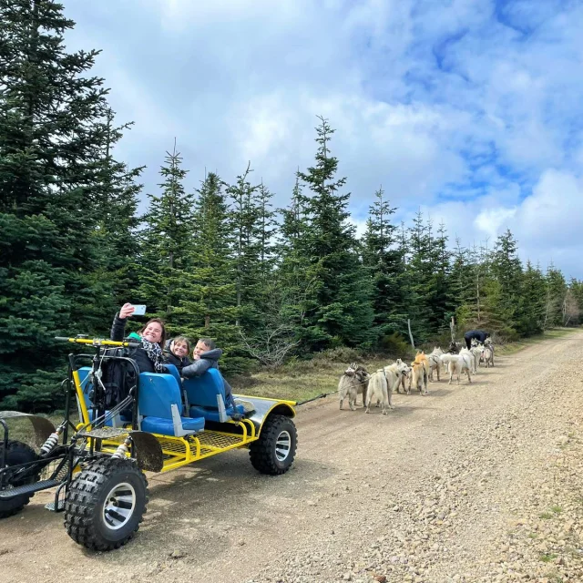 Balade en kart tracté par des chiens