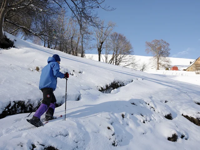 Randonnées hivernales en raquettes à neige en Lozère